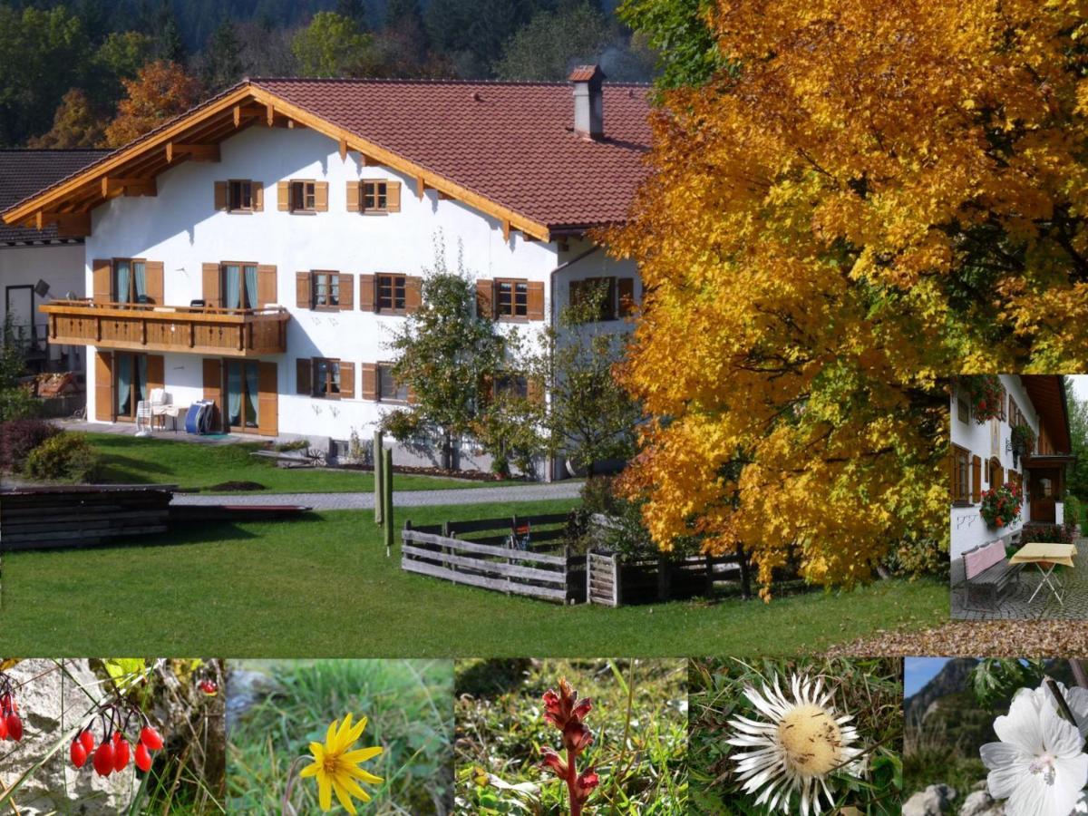Ferienwohnungen Hennenmuehle Bad Hindelang Exterior photo